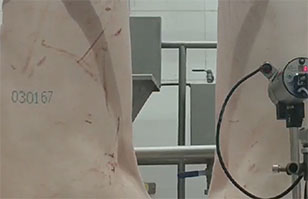 豬肉全自動數字噴碼解決方案-德國EBS智能大字符噴碼機